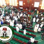 Reps stops move to cede disputed Adamawa territory to Cameroon
